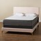 Baxton Studio Abberton Modern and Contemporary Light Pink Velvet and Gold Metal Queen Size Panel Bed 220-12852-ZORO - alternate 7